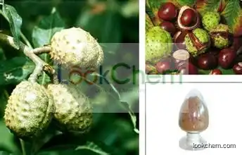 Health Food Horse Chestnut Extract Powder Aescin Esicin Aescigenin 20%80%