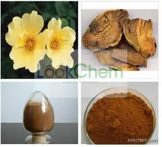 Herbal Extract-Natural Emodin 50% 80% 90%