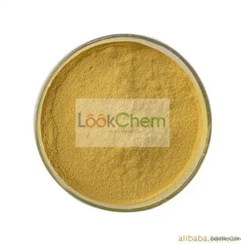 Wenchou Turmeric Root Tuber Extract