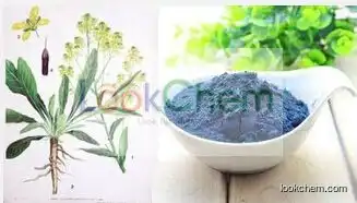 Indigo Naturalis Extract , Indigo Naturalis Extract Powder , Indigo Naturalis P.E.