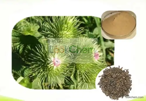 Great Burdock Fruit Extract (Great Burdock Achene Extract)