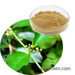 Gymnema Sylvestre Extract Powder Gymnemic Acid 25%75%