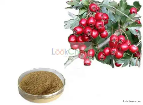 Hawthorn Extract Flavones 5%, Hawthorn Leaf Extract, Hawthorn Fruit Extract