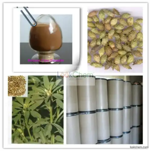 Siberian Cocklebur Extract, Siberian Cocklebur Extract Powder, Siberian Cocklebur P.E.