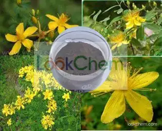 100% Natural St. John's Wort Extract Powder Pseudohypericin