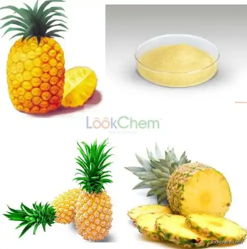 Natural Bromelain Pineapple Extract  Bromelain Extract
