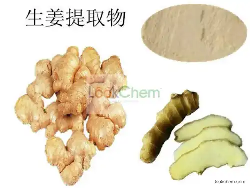 Ginger Extract,Fresh Ginger Extract, Ginger Root Extract Gingerol 5%