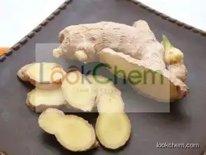 Ginger Extract,Fresh Ginger Extract, Ginger Root Extract Gingerol 5%