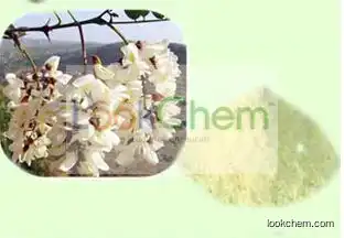 Rutin/Sophora Japonica Extract