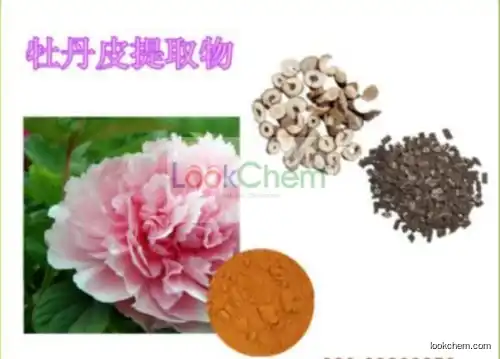 Supply High Quality-Peony Root Extract Paeonol/Peony Root Extract Paeonol 99%/Natural Peony Root Extract Paeonol