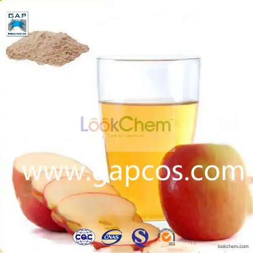 Freeze Dried Pure Natural Apple Juice Powder