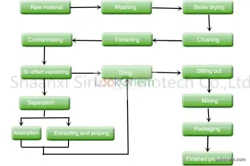 Chinese Ivy Extract