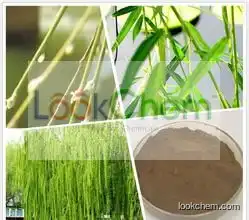 High Qualty White Willow Bark P.E./Salicin Powder 15%,20%,30% by HPLC