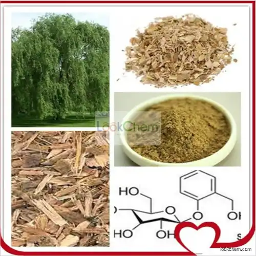 High Qualty White Willow Bark P.E./Salicin Powder 15%,20%,30% by HPLC