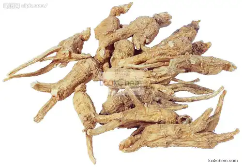 100% Natural Chinese Angelica Extrat ,Dong Quai Root Extract(EAS)1% Ligustilide