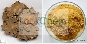 100%Natural Lovage P.E., Lovage Root Extract Powder, Lovage Powder