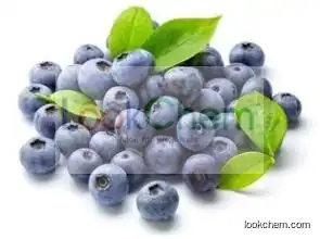 Natural High Quality Acai berry Extract Powder/Acai Berry Powder