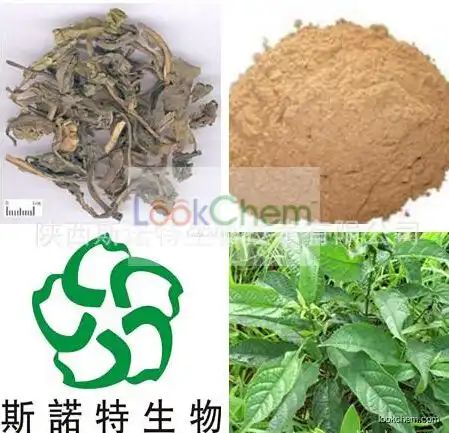 Pure Indigowoad Leaf Extract, Indigowoad Leaf Extract Powder, Indigowoad Leaf P.E.