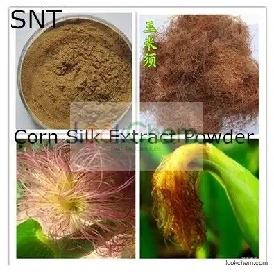 Corn Stigma Extract / Stigmata Maydis P. E / Zea Mays Silk Extract