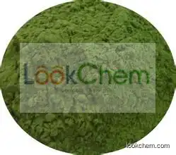 Barley Grass Extract Powder 100% Natural