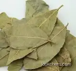 Natural Bay Laurel Leaf Extract Powder