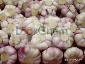 Garlic Extract Garlic Oil 50%