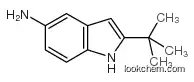 2-TERT-BUTYL-1H-INDOL-5-AMINE