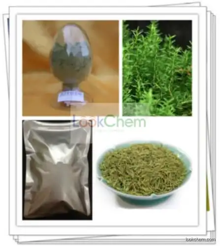 Rosemary Leaf Extract Powder Ursolic acid 25% 50% 90% 98%