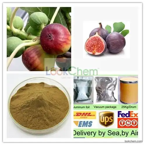 Natural Pure Fig Fruit Extract