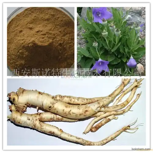 Balloon Flower Extract, Balloon Flower Extract Powder, Balloon Flower Extract 10:1