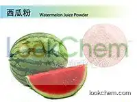 100% Natural Watermelon Extract,Watermelon Extract Powder,Watermelon Extract Manufacturer 4:1~20:1