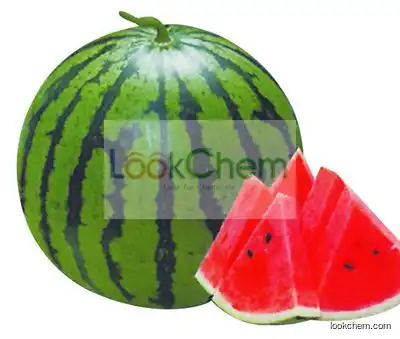 100% Natural Watermelon Extract,Watermelon Extract Powder,Watermelon Extract Manufacturer 4:1~20:1