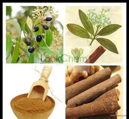 100% Natural Cinnamomum Zeylanicum extract // Cinnamon P.E