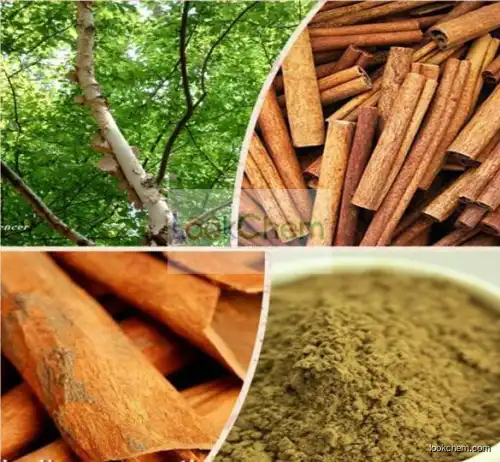 100% Natural Cinnamomum Zeylanicum extract // Cinnamon P.E