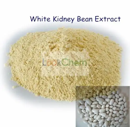 Lose Weight Product White Kidney Bean Extract Phaseolin, White Kidney Beans P. E