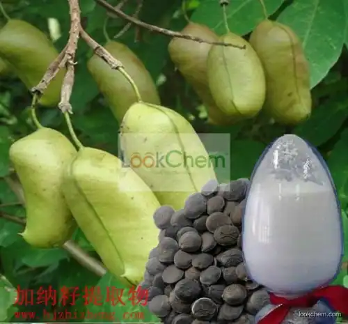 Griffonia Simplicifolia Seed Extract, 20%~99% 5-HTP, Griffonia Simplicifolia Seed Extract powder