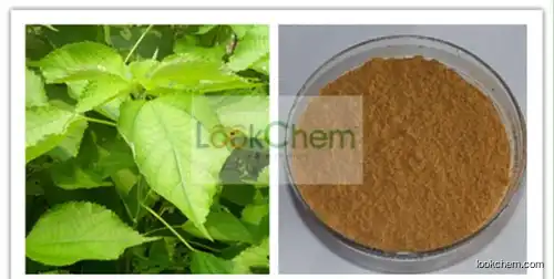 Radix Boehmeriae Extract/ Ramie Root Extarct 10:1/Boehmeria niveaGaud Extract