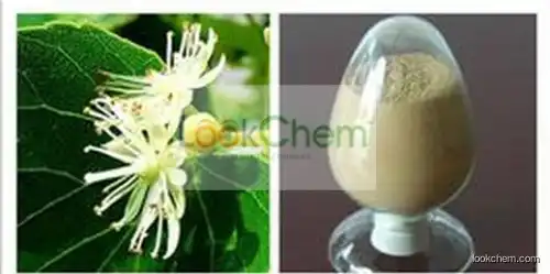 100% Pure Linden Flower Extract, Linden Flower Extract Powder, Linden Flower Extract