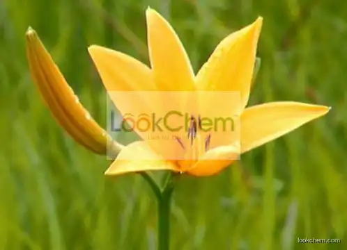 100% Pure Colchicine Extract,Colchicine Extract Powder,Colchicine Extract Supplier Colchicine 98% 99%