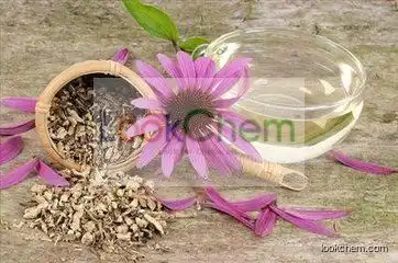 Echinacea Angustifolia Extract