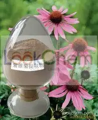 Echinacea Angustifolia Extract