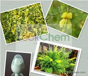 Manufacturer supply Natural Sparteine/Baptitoxine/Cytisine extract/Cytisine 98%