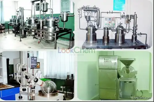 Manufacturer Supply  Lycoris Radiata Extract 98% Galanthamine