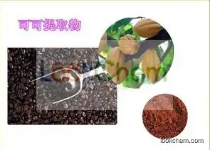 Manufacturer supply organic 100% pure natural polyphenols cocoa seeds extract powder