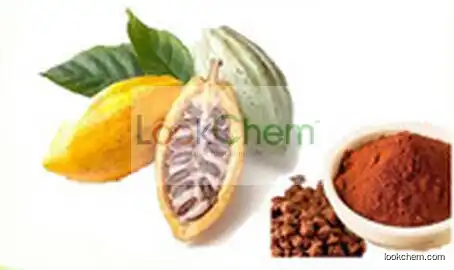 Manufacturer supply organic 100% pure natural polyphenols cocoa seeds extract powder