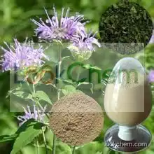 Hot Sell Lemon Balm Extract, Lemon Balm Extract Powder, 100% Natural Lemon Balm Extract