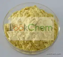 High Purity Green Tea Extract   Purity 90% 95%