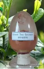 High Purity Green Tea Extract   Purity 90% 95%