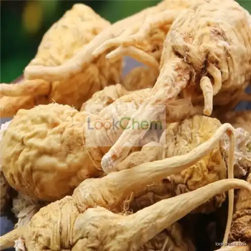 hot saling Factory directly supply Safe and Effective authentic maca root extract powder with multiple functions made in China