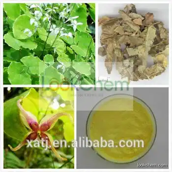 Sex enhance best selling product!!!epimedium pubescens maxim